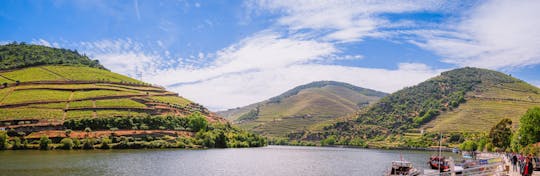 Small group tour in Douro Valley from Porto