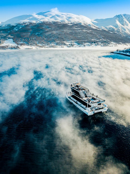Tromsø fjord en wildlife cruise