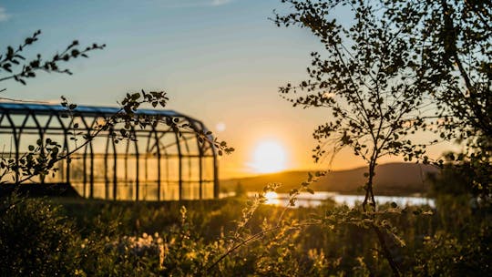 Genießen Sie die Mitternachtssonne während einer Fototour