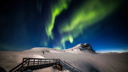 Obtenha a foto perfeita das luzes do norte em um tour privado de fotografia