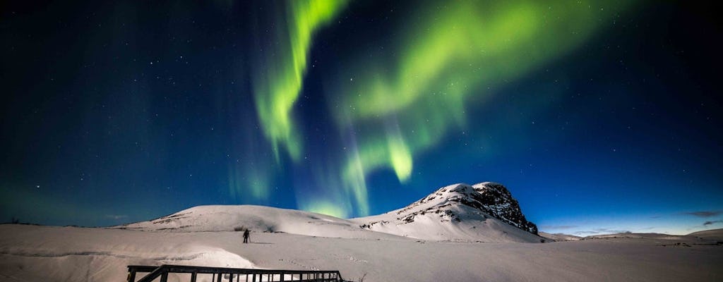 Obtenha a foto perfeita das luzes do norte em um tour privado de fotografia