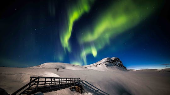 Get the perfect shot of the northern lights in a private photography tour