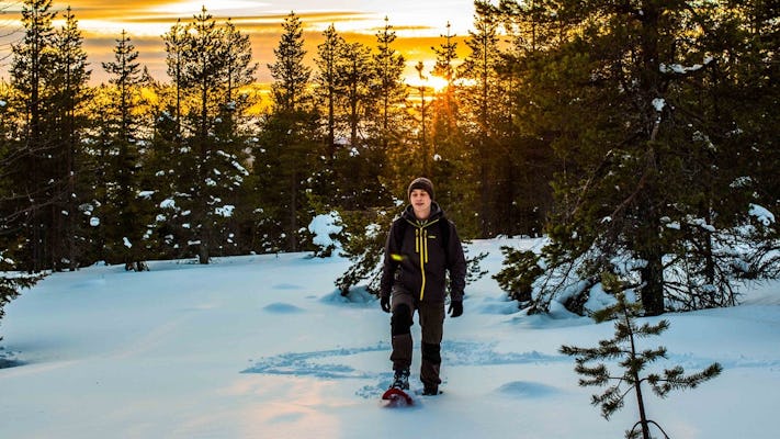 Head on a snowshoe adventure in the wilderness