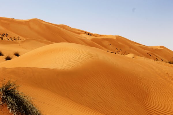 Excursión de día completo a las aguas termales y safari por las dunas del norte desde Muscat