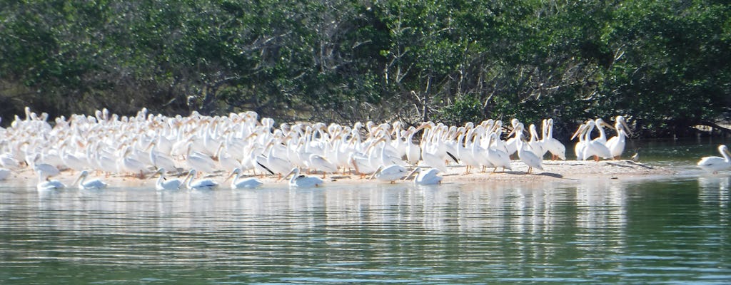 Spedizione della fauna selvatica e della spiaggia del Parco nazionale delle Everglades