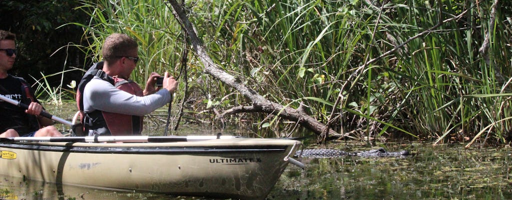 Passeio ecológico de caiaque no túnel de mangue do Everglades National Park
