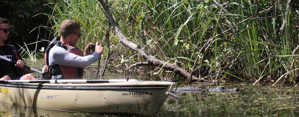 Éco-excursion en kayak dans le tunnel de la mangrove du parc national des Everglades