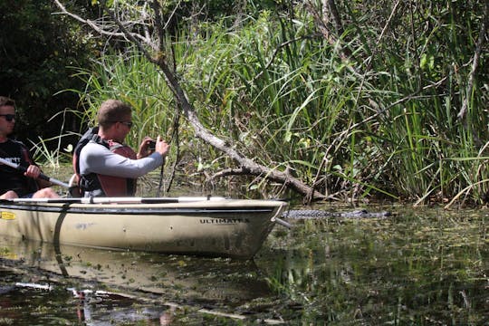 Ekologiczna wycieczka kajakiem po tunelu namorzynowym w Parku Narodowym Everglades