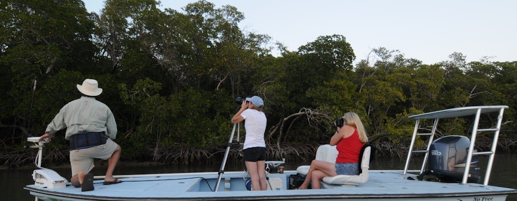 Tour privado en bote de safari fotográfico y de observación de aves por los Everglades