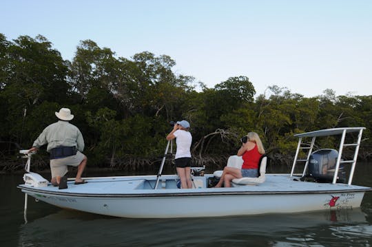 Observação de pássaros em Everglades e passeio fotográfico em um safári de barco