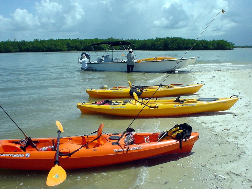 Marco Island boat assisted kayak eco-tour | musement
