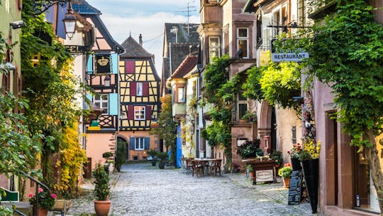 Visite privée des villages de l'Alsace et dégustation de vins au départ de Colmar