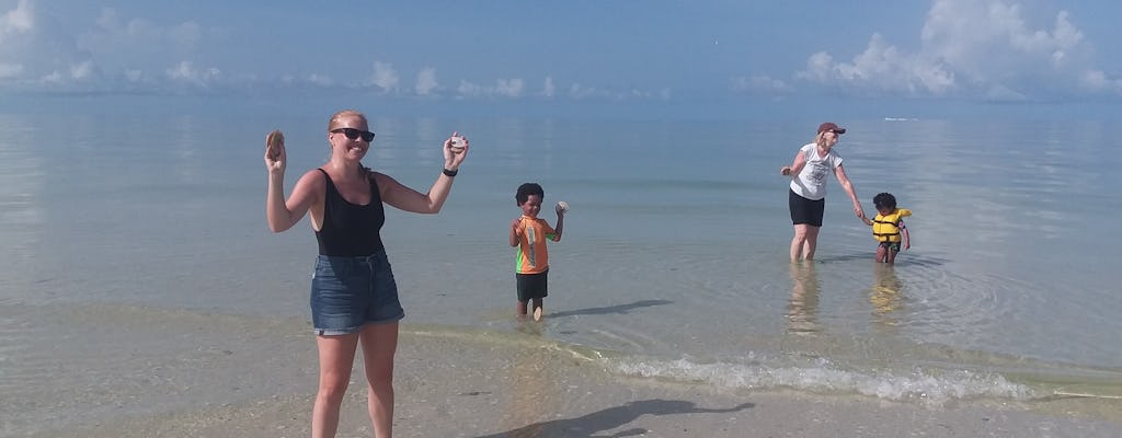 Passeio de barco com golfinhos e conchas em Marco Island