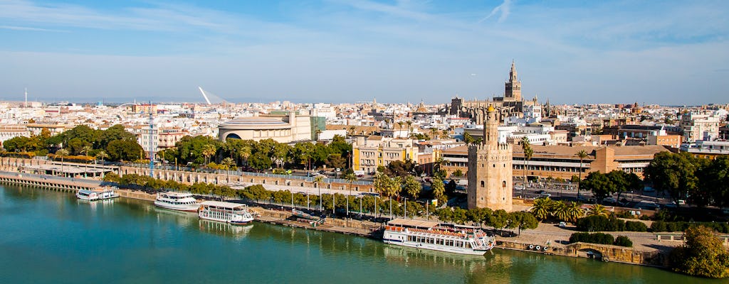 Private bike tour of Seville