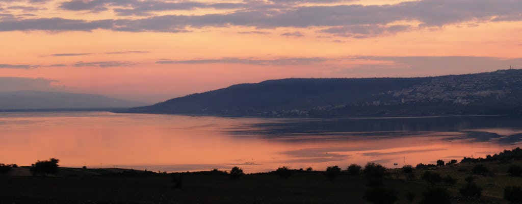 Sea of Galilee & Golan Heights Tour from Nazareth