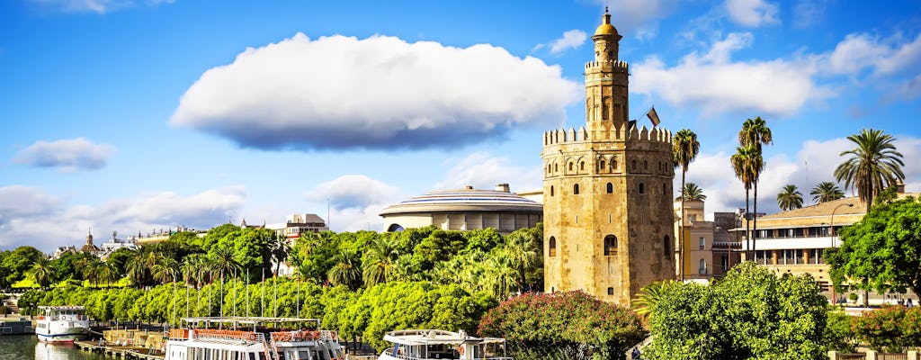 Walking tour of Seville with cruise on the Guadalquivir river