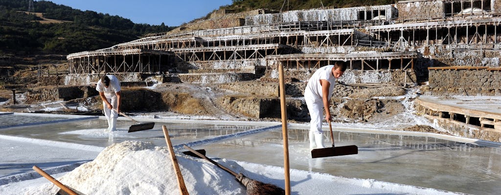 Ganztagestour von Vitoria und Añana Salt Valley ab Pamplona