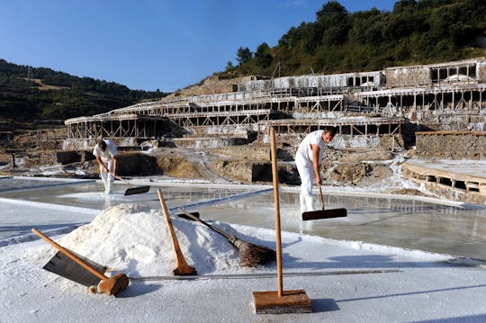 Vitoria and Añana Salt Valley full-day tour from Pamplona