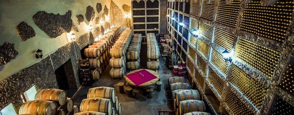 Visite de la route des vins au château Purcari et à la cave d'Asconi avec dégustation