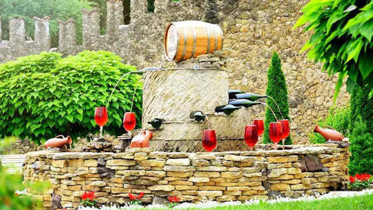 Tour del vino alla cantina Milesti Mici con degustazione