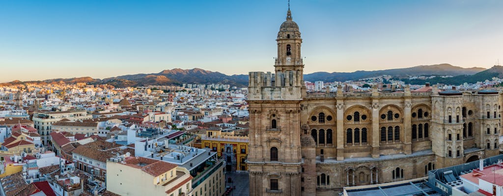 Private walking tour of Málaga