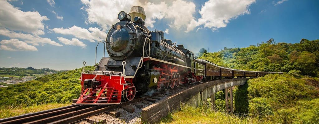 Ruta del vino con tren y parque épico italiano