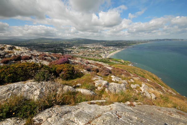 Wicklow