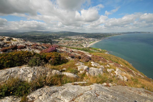 Wicklow