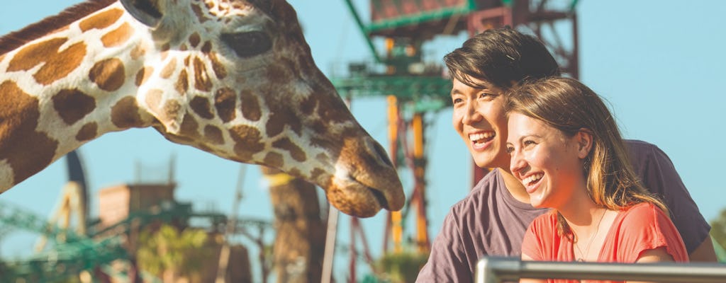 Busch Gardens Serengeti Safari