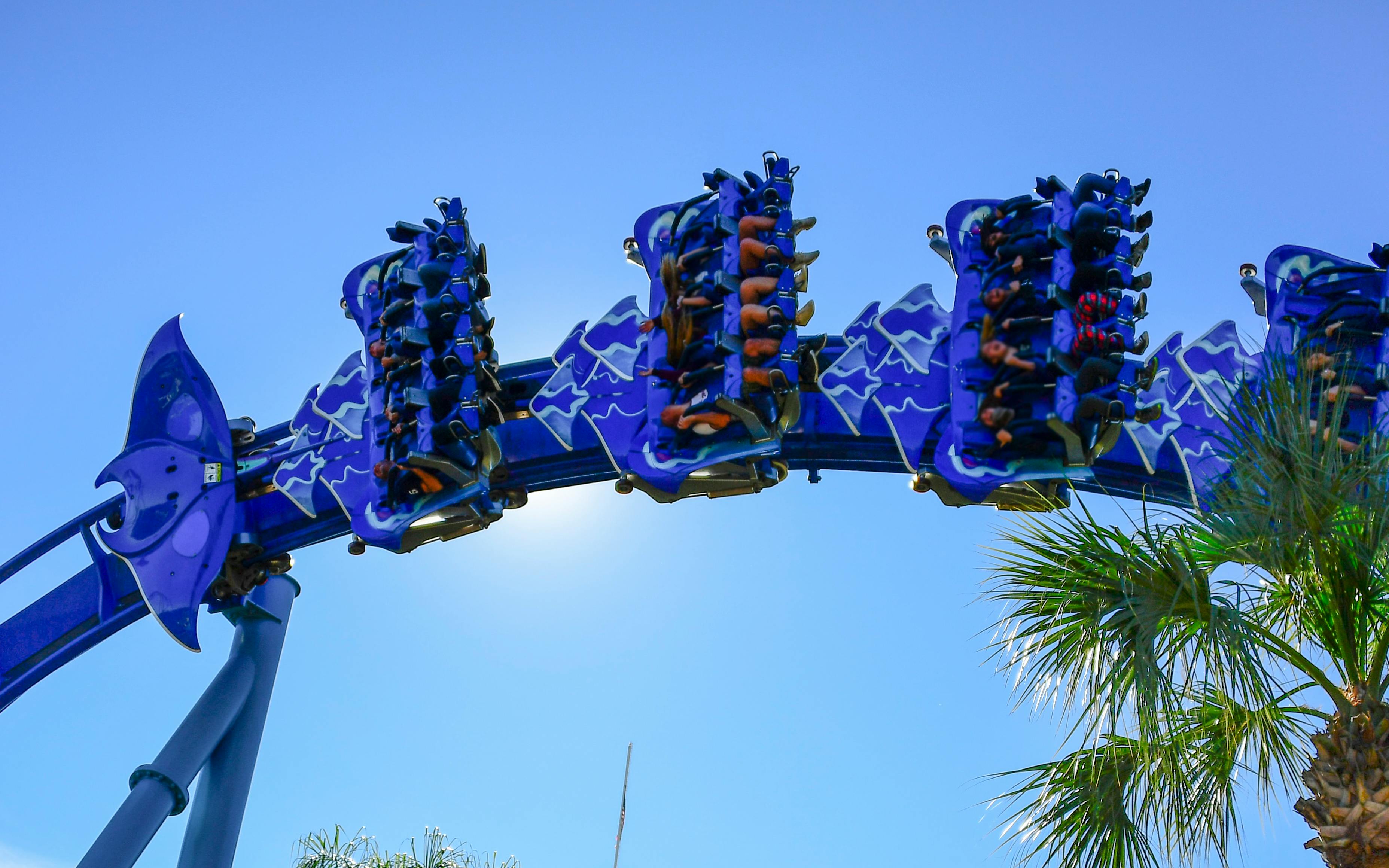 Seventh Roller Coaster Now Confirmed for SeaWorld Orlando