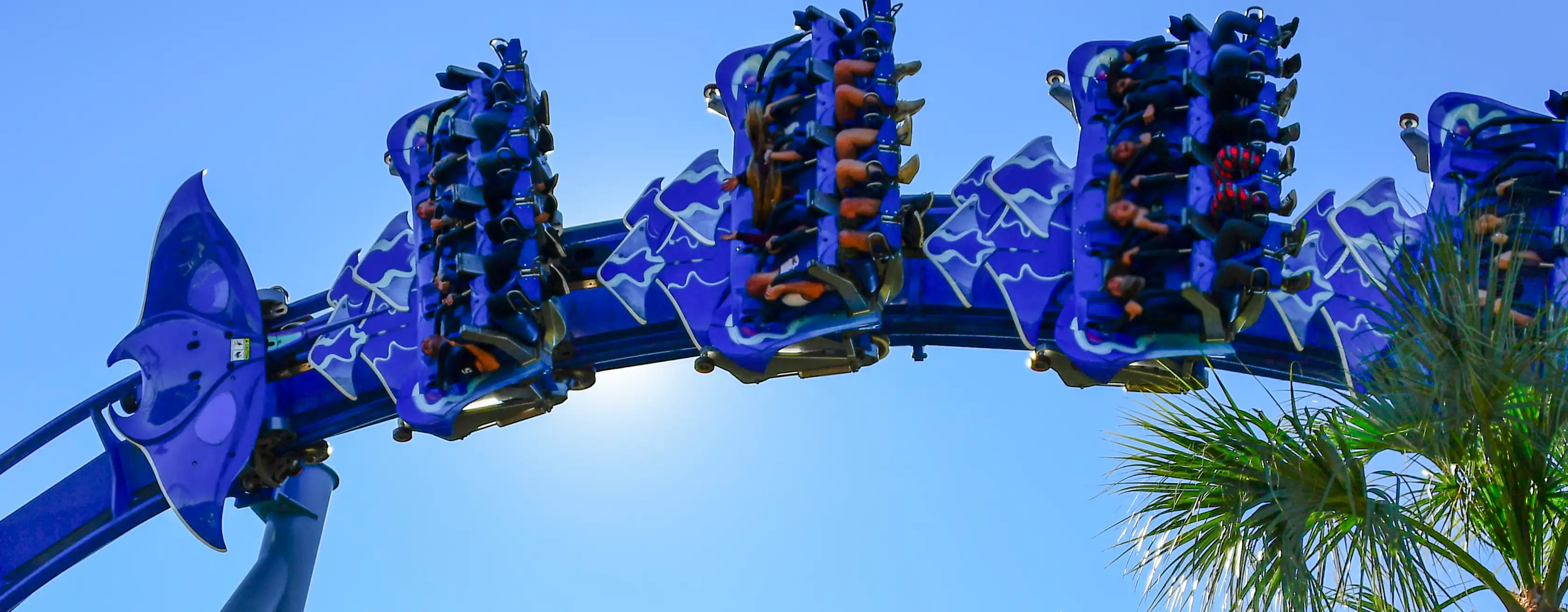 SeaWorld® Orlando biljetter och utflykter