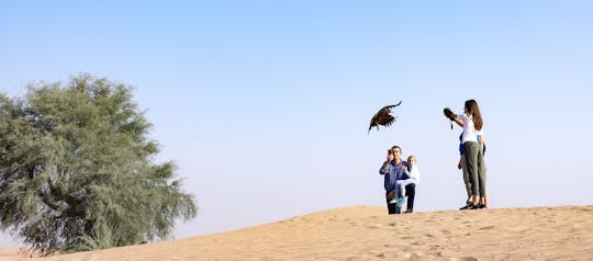 Safari privato sulla falconeria di Dubai con colazione opzionale