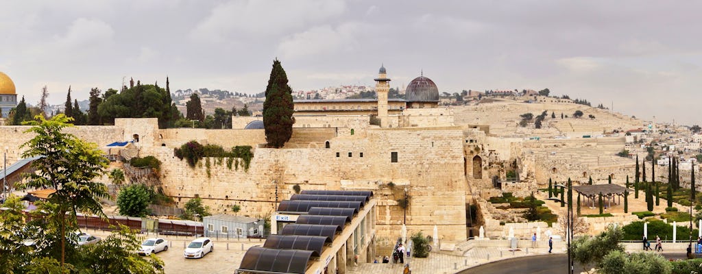 Tour de um dia inteiro pelos destaques em Jerusalém