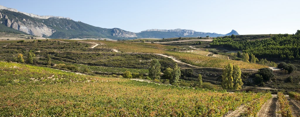 Visite d'une cave à La Rioja depuis Pampelune avec dégustation et déjeuner