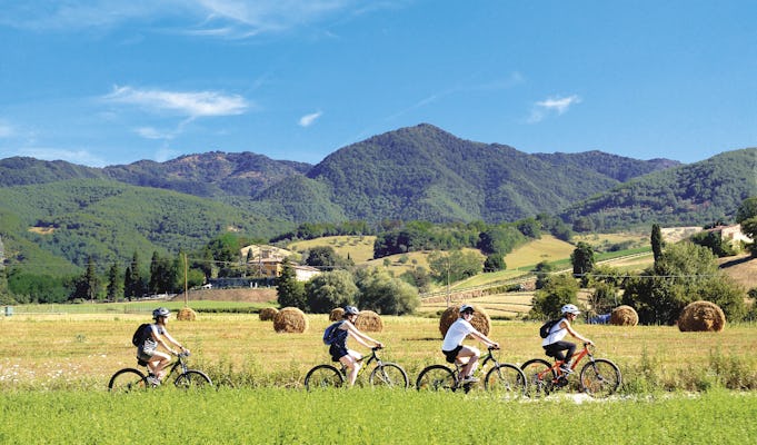 Toscana en bicicleta y degustación de azafrán