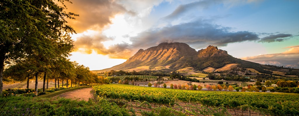 Erlebnisse in Stellenbosch