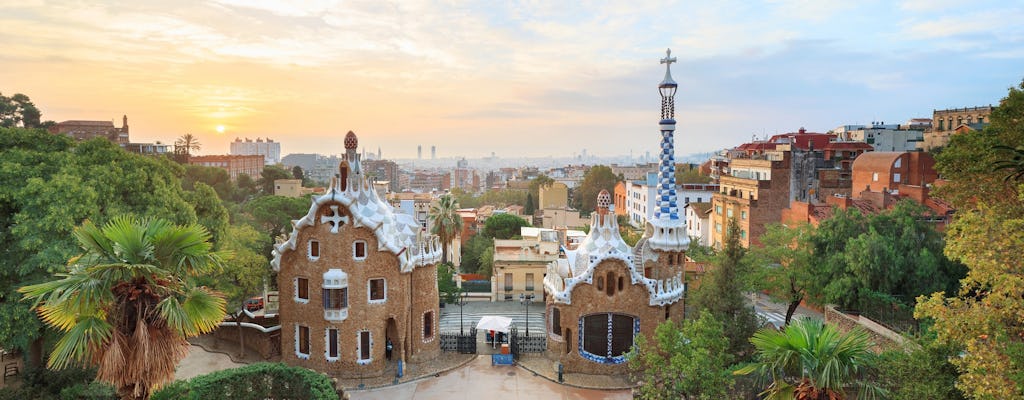 Acceso rápido al Park Güell con visita guiada