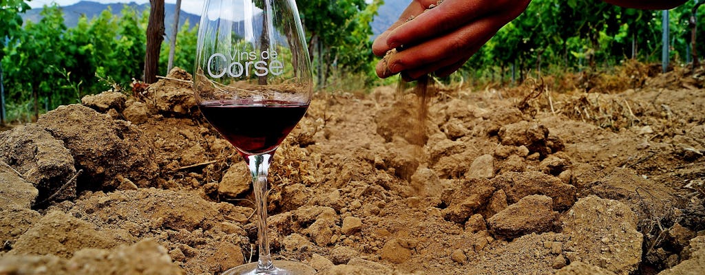 Sensory wine tasting at Domaine D'Alzipratu
