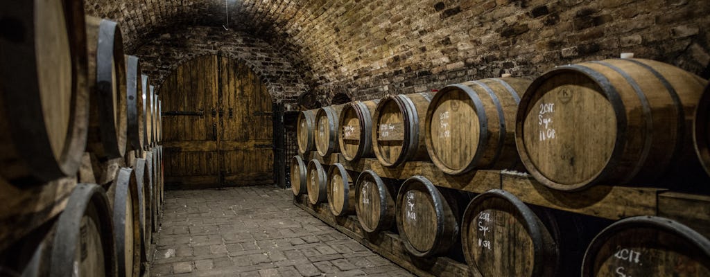 Excursão privada ao vinho do Lago Balaton saindo de Budapeste