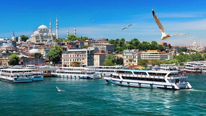Visite combinée d'Istanbul de la vieille ville et croisière sur le Bosphore
