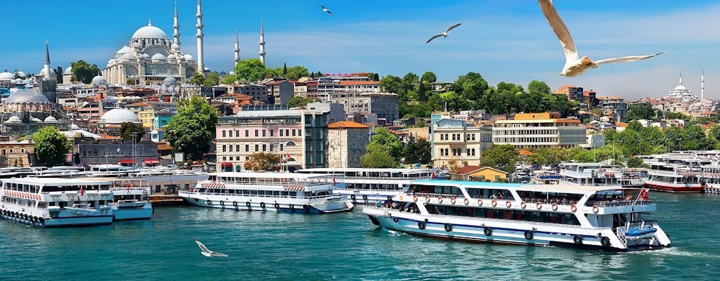 Tour combinato di Istanbul della città vecchia e crociera sul Bosforo