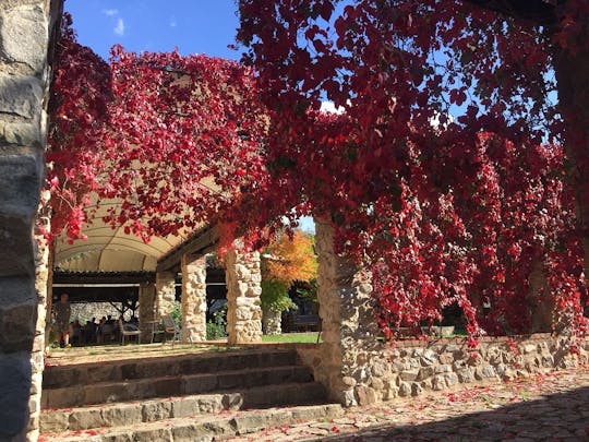 Tour de pueblos sicilianos con degustación de ricota