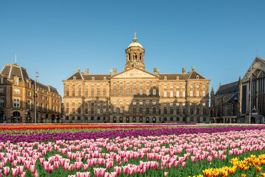 3-hour historic Amsterdam private bike tour