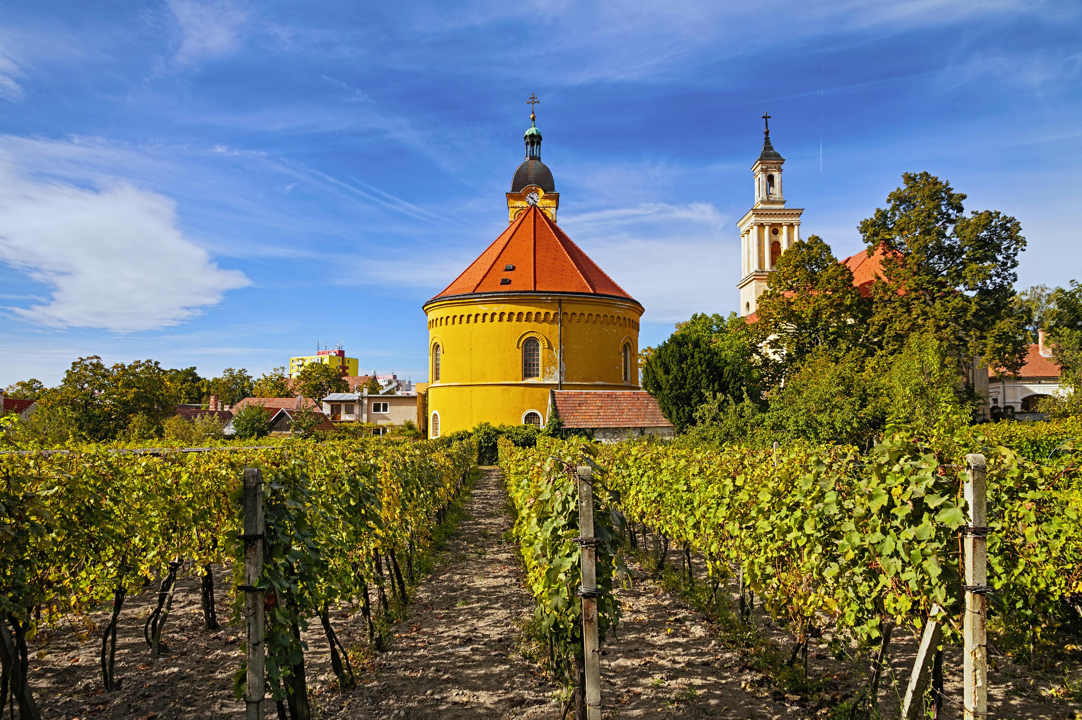 Pequena excursão de vinho dos Cárpatos de Bratislava