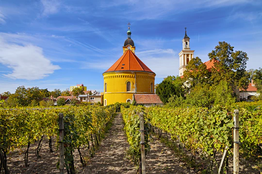 Small Carpathian wine tour from Bratislava