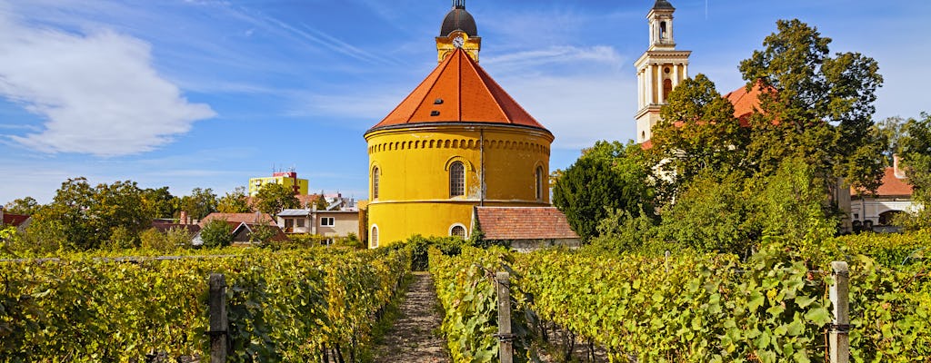 Pequena excursão de vinho dos Cárpatos de Bratislava