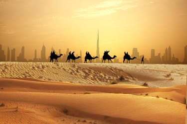Dagtour met kleine groepen in Dubai en woestijnsafari in de avond