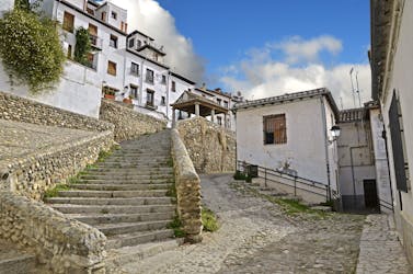 Walking tour of the alternative Granada