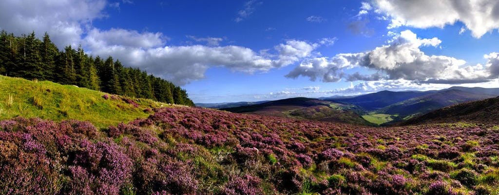 Tagesausflug nach Glendalough, Wicklow und Kilkenny ab Dublin