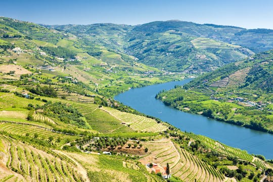 Douro Valley 4x4 full-day tour with wine tasting